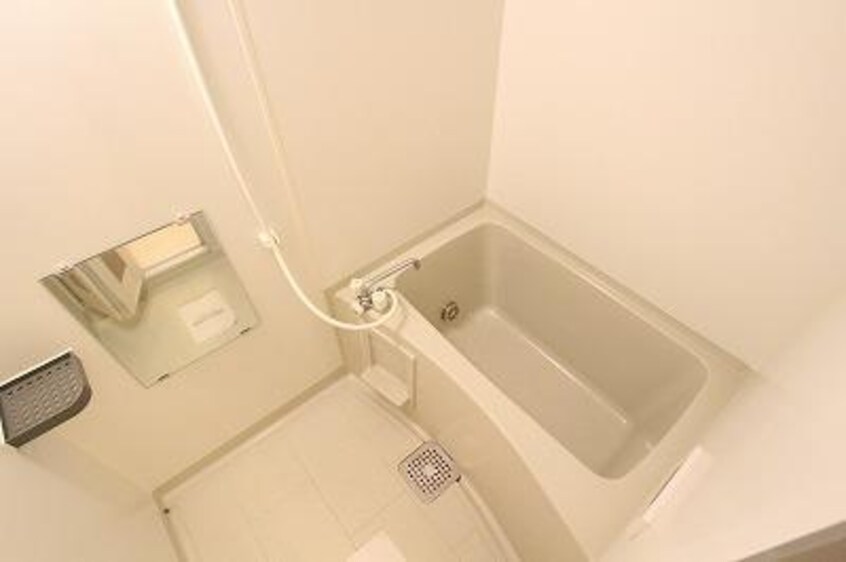 参考写真 クランベール