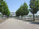 新潟市立白根北中学校(中学校/中等教育学校)まで1075m サンモールヴィレッジ