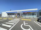 ローソン新潟白根上塩俵店(コンビニ)まで748m サンモールヴィレッジ