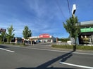 クスリのアオキ小新店(ドラッグストア)まで793m エルスール