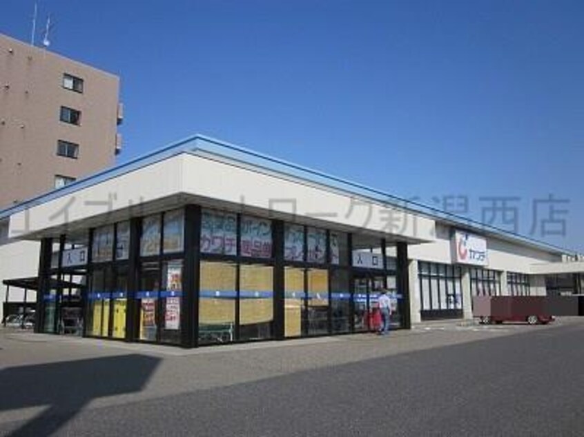 カワチ薬品青山店(ドラッグストア)まで684m ルシオン青山