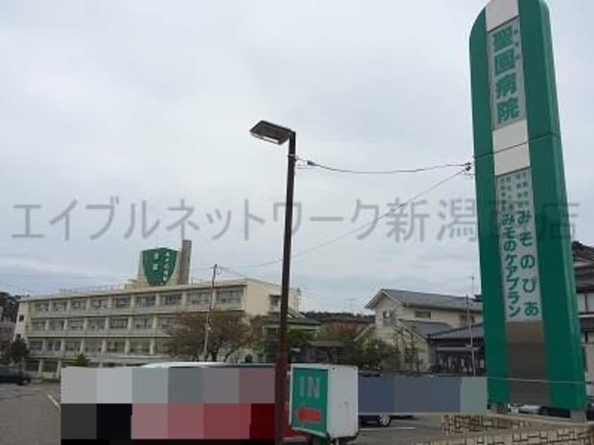 医療法人社団仁和会聖園病院(病院)まで243m ルシオン青山
