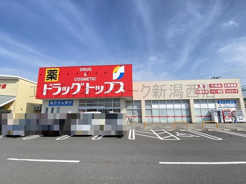 ドラッグ・トップス新通店(ドラッグストア)まで270m フラッツ槙尾