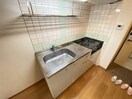 102参考写真 ウッドソレル