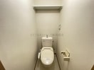 102参考写真 ウッドソレル