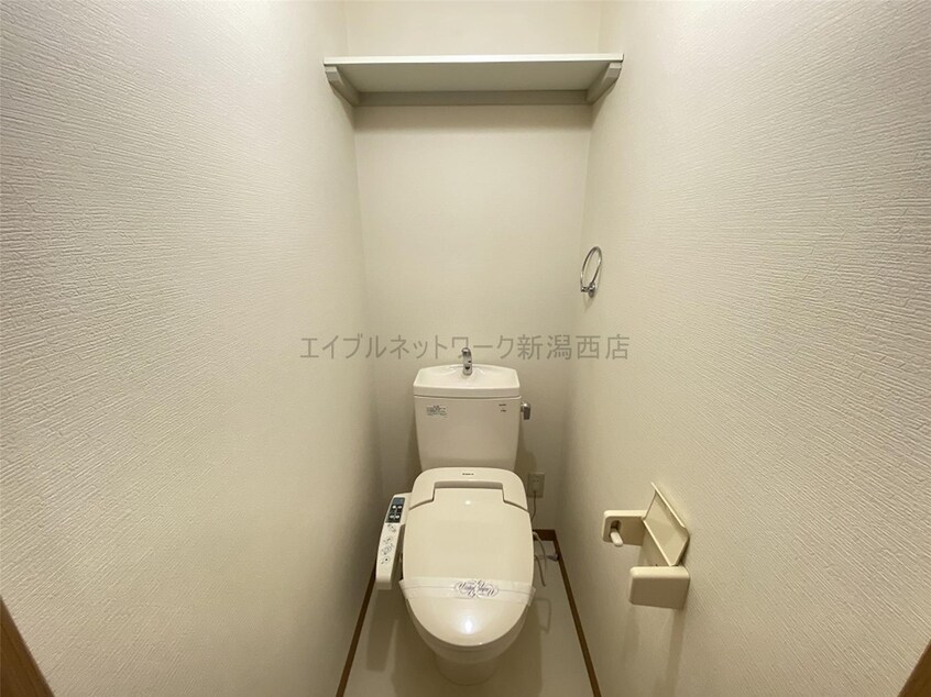 102参考写真 ウッドソレル