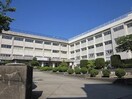 新潟市立東青山小学校(小学校)まで910m ＪＯＹＰＬＡＣＥ青山３