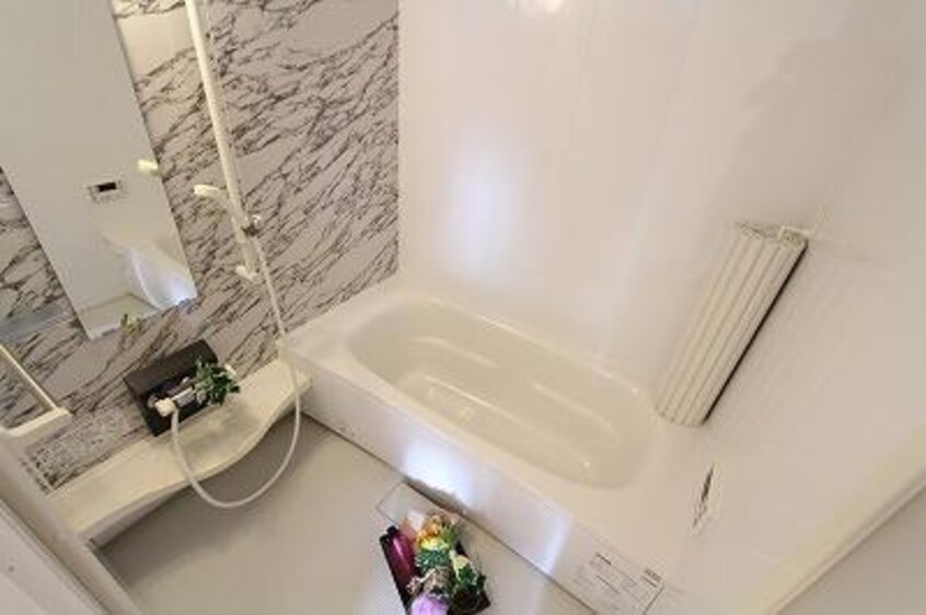 参考写真です アステールII