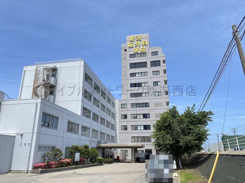 泰庸会新潟脳外科病院(病院)まで588m アステールII