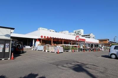 コメリハード＆グリーン小針店(電気量販店/ホームセンター)まで1754m コンフォート青山