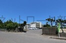 立仏小学校(小学校)まで550m ファイン