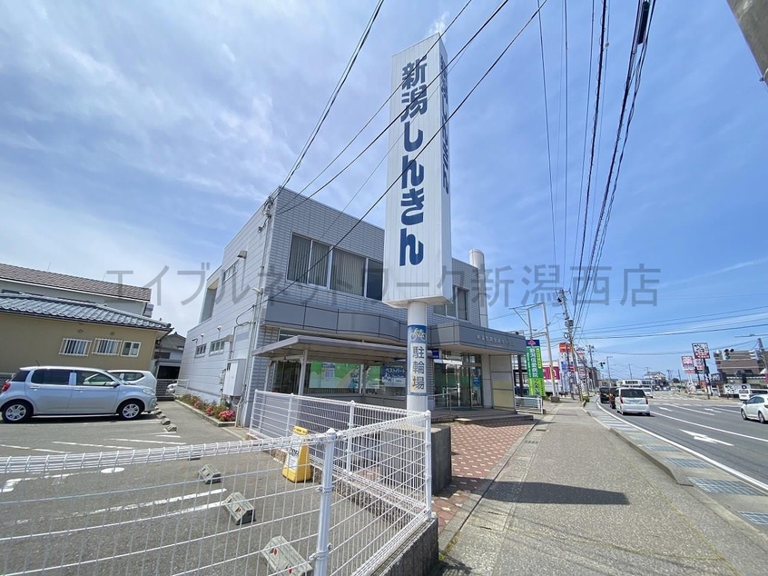 新潟信用金庫寺地支店(銀行)まで824m ファイン
