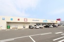 ウエルシア新潟白根店(ドラッグストア)まで1094m グランシェールＡ・Ｂ