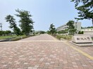 国立新潟大学(大学/短大/専門学校)まで848m サンシャインIII