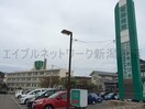 医療法人社団仁和会聖園病院(病院)まで712m ベレーザ青山