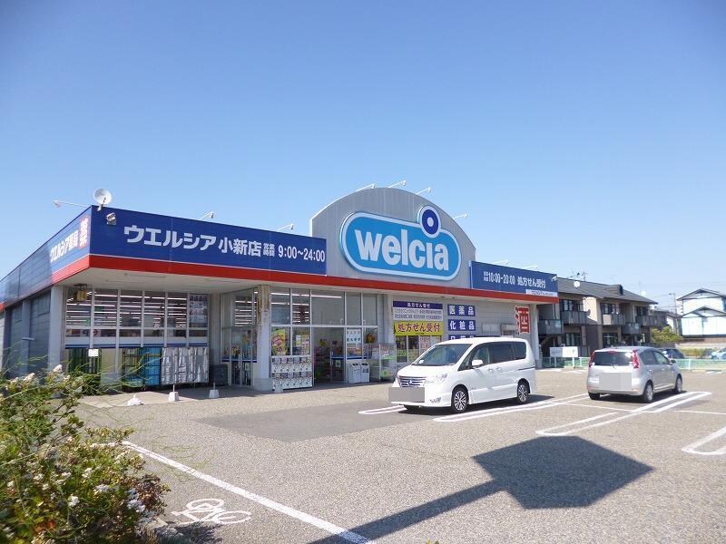 ウェルシア新潟小新店(ドラッグストア)まで450m ブライト・ヴィラI・II