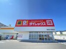 DiREX新潟大学前店(ディスカウントショップ)まで362m マリオンIII