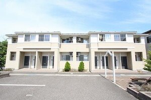 チェリーブロッサム