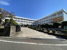 新潟市立東青山小学校(小学校)まで852m ウェイブリーコート青山