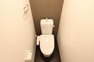 参考写真 マイアナ