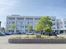 小針小学校(小学校)まで1100m マイアナ