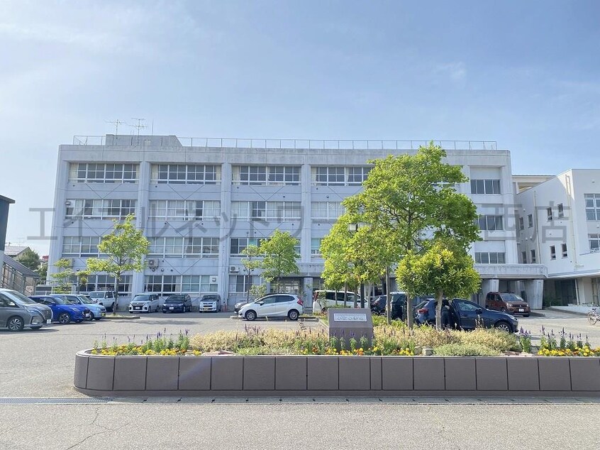 小針小学校(小学校)まで1100m マイアナ