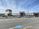 アピタ新潟西店(ショッピングセンター/アウトレットモール)まで350m マイアナ