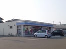 ローソン新潟白根七軒店(コンビニ)まで743m グランシェールＣ・Ｄ