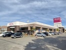イオン白根店(スーパー)まで1402m グランシェールＣ・Ｄ