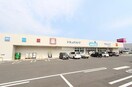 ウエルシア新潟白根店(ドラッグストア)まで1143m グランシェールＣ・Ｄ