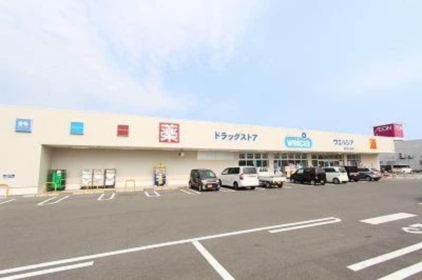 ウエルシア新潟白根店(ドラッグストア)まで1143m グランシェールＣ・Ｄ