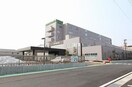 白根保健生活協同組合新潟白根総合病院(病院)まで2358m グランシェールＣ・Ｄ