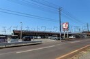 ウオエイ金巻店(スーパー)まで1109m ハイツ宮