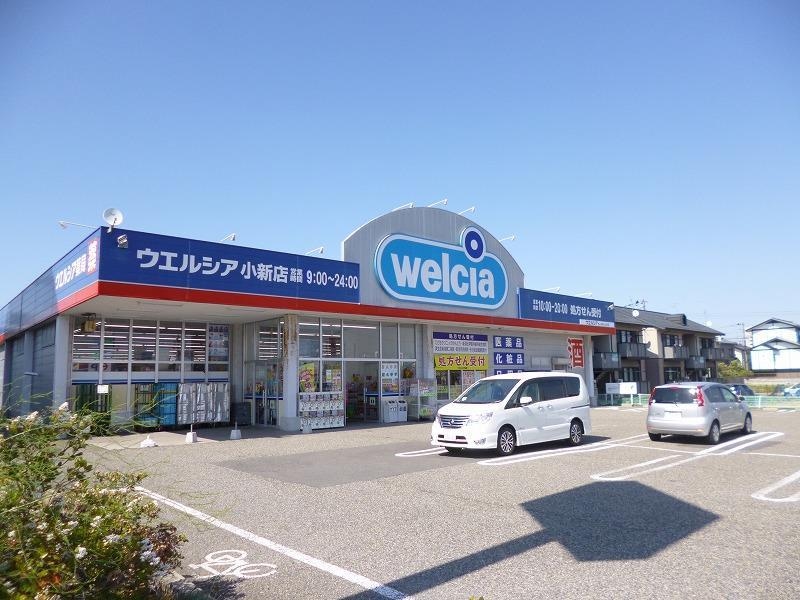 ウエルシア新潟小新店(ドラッグストア)まで1277m メゾンセントポーリア