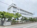 新潟市立小針中学校(中学校/中等教育学校)まで1053m Xevo＋R青山新町