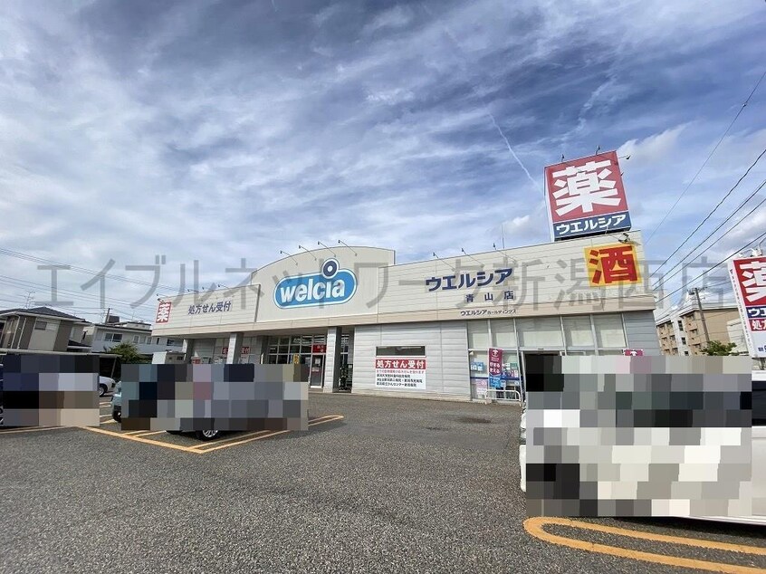 ウエルシア青山店(ドラッグストア)まで774m Xevo＋R青山新町