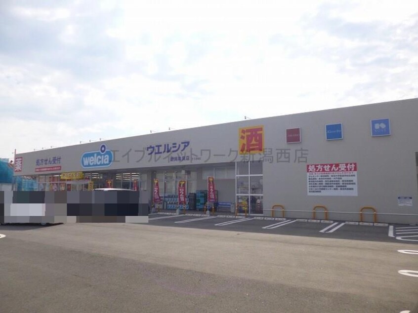 ウエルシア新潟亀貝店(ドラッグストア)まで277m スラージュW