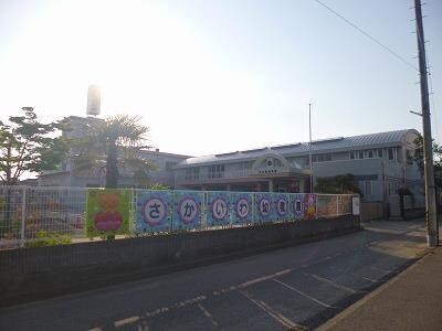 坂井輪幼稚園(幼稚園/保育園)まで1703m ピュアタウン坂井砂山