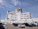 泰庸会新潟脳外科病院(病院)まで469m D-ROOMときめき東