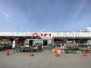 コメリハード＆グリーン小針店(電気量販店/ホームセンター)まで644m maison sona（メゾン ソナ）