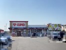 キューピット真砂店(スーパー)まで778m ウエストヒルズ