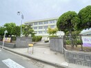 新潟市立坂井輪小学校(小学校)まで861m ルフィ寺尾A