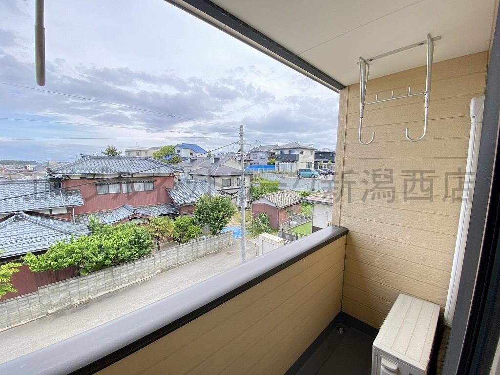 参考写真です。 サンフラウア