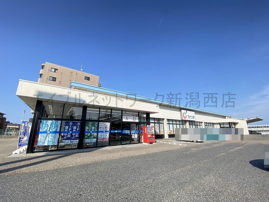 カワチ薬品青山店(ドラッグストア)まで1362m BUENA関屋堀割