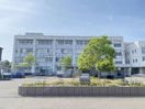 新潟市立小針小学校(小学校)まで733m Belle　Lead小針