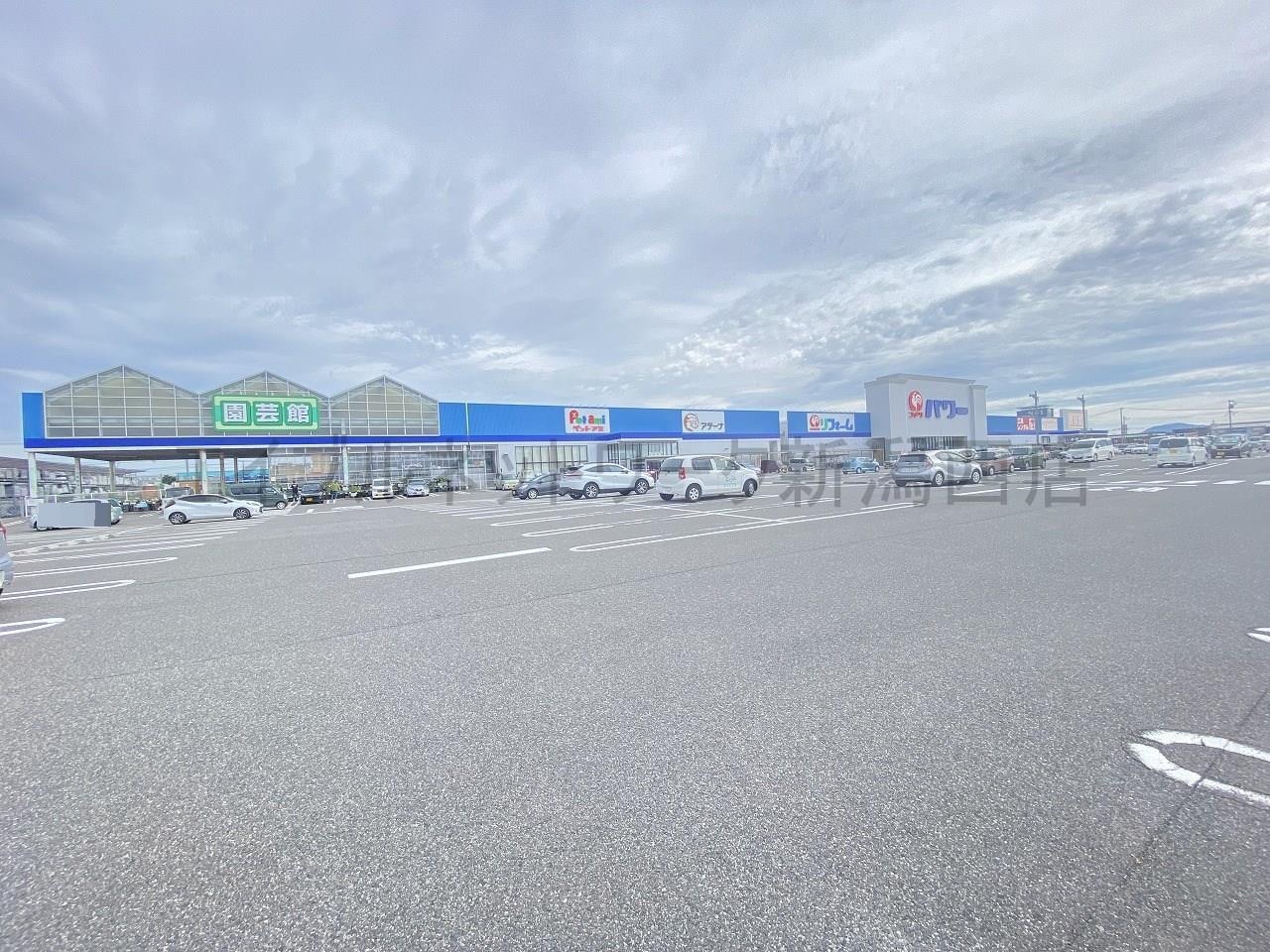 コメリパワー新潟西店(電気量販店/ホームセンター)まで585m ミライズテラス亀貝