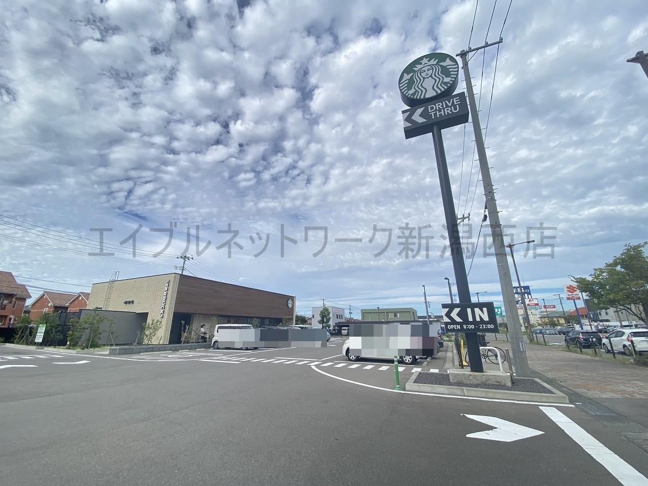 スターバックスコーヒー新潟小新店(その他飲食（ファミレスなど）)まで463m ミライズテラス亀貝