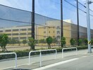 新潟市立鳥屋野小学校(小学校)まで1212m エスポアール壱番館