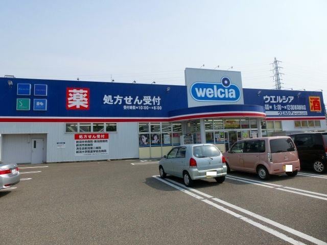 ウエルシア新潟新和店(ドラッグストア)まで884m ハイム上所