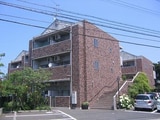 フラワーフェアリ